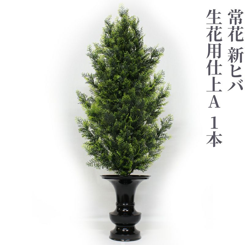 常花 新ヒバ 生花用仕上A 1本（水上寸法45cm～90cm 4種類）