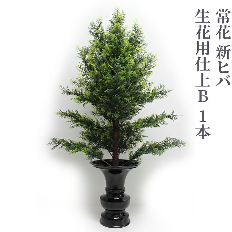 常花 新ヒバ 生花用仕上B 1本（水上寸法60cm～90cm 3種類）