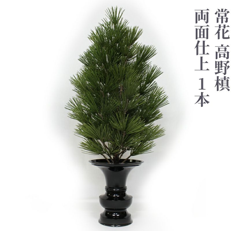 常花 高野槙 両面仕上 1本（水上寸法45cm～90cm 4種類）