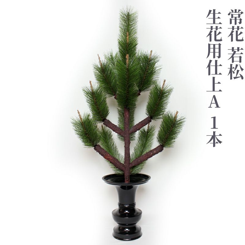 常花 若松 生花用仕上A 1本（水上寸法60cm～90cm 3種類） | 寺院用仏具