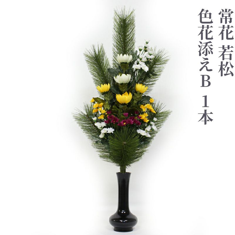 常花 若松 色花添えB 水上寸法60cm 1本