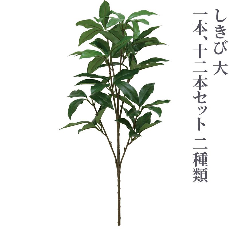 しきび 中（1本、12本セット 2種類）4742