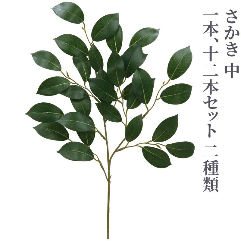 さかき 中（1本、12本セット 2種類）4742