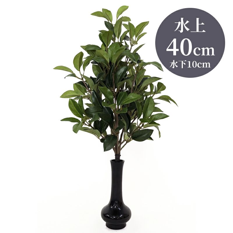 しきび 水上げ40cm SB102-40