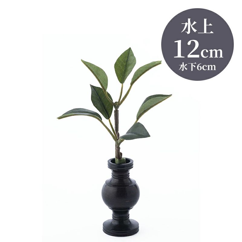 しきび 花瓶 水上げ12cm SB202-12