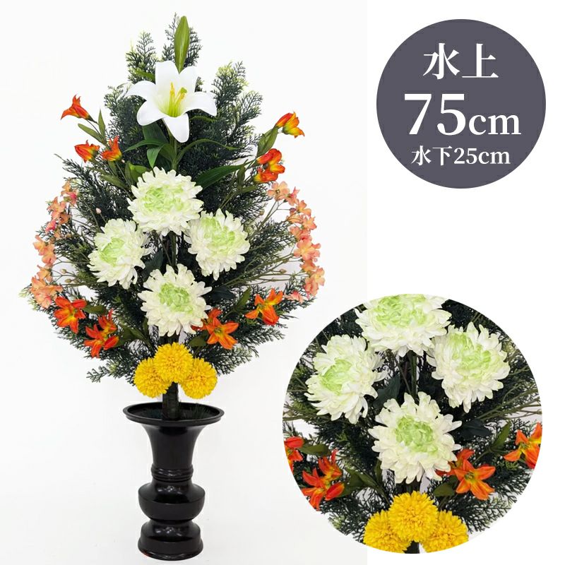 ひばA 色花添 24-3 水上げ75cm HB101-IB24-3
