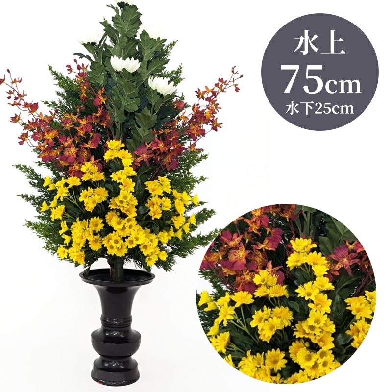 ひばC 色花添 24-3 水上げ75cm HB301-IB24-3