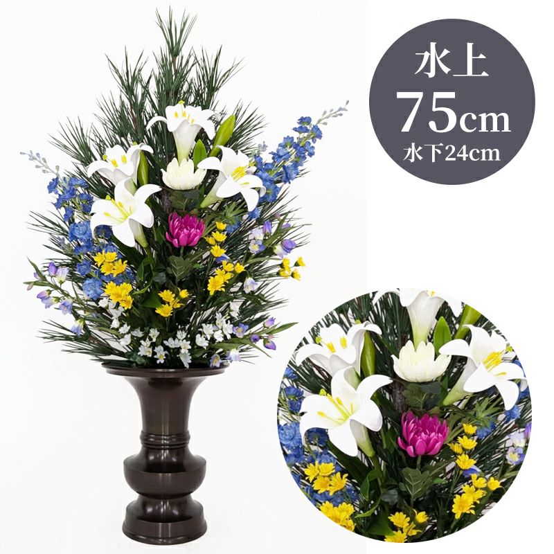 高野槇 色花添 24-2 水上げ75cm KM101-IB24-2