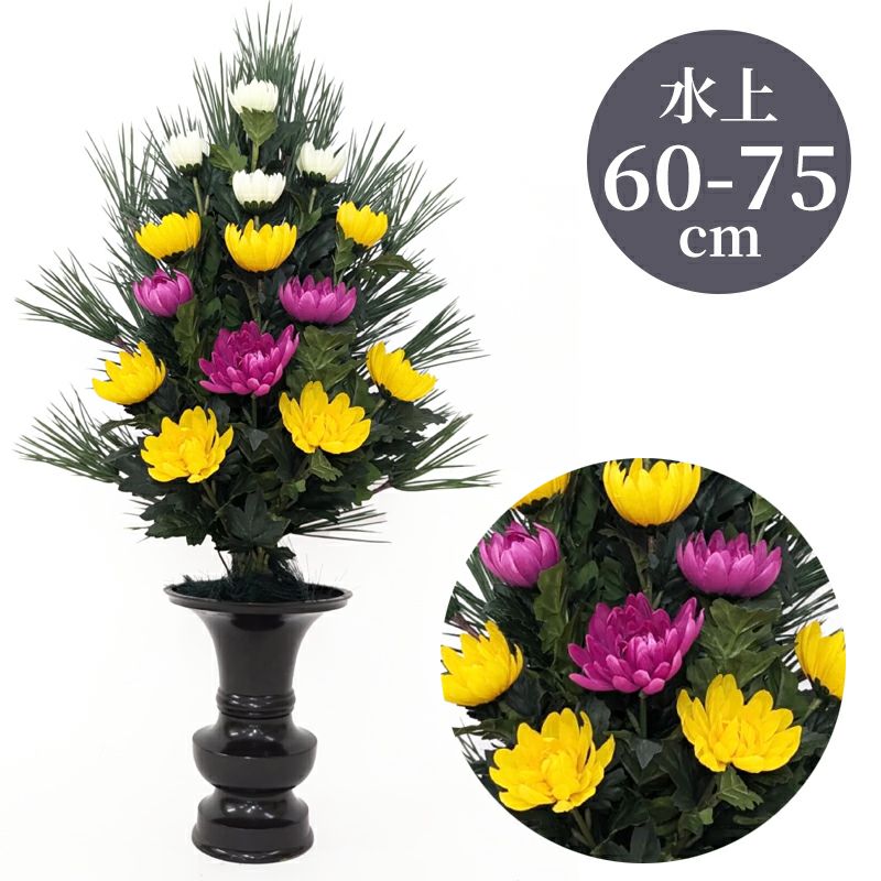 高野槇 色花添 24-3（水上げ60～75cm 2種類）KM101-IB24-3